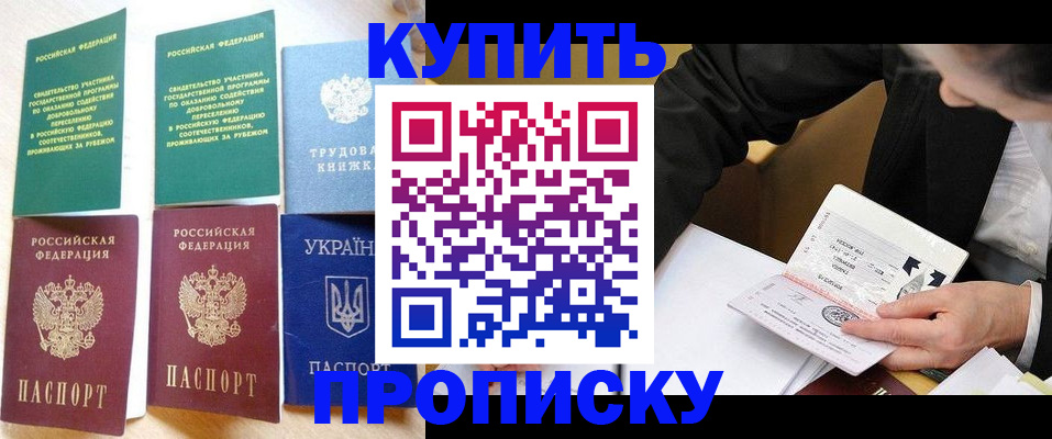 прописка для школы в Химках